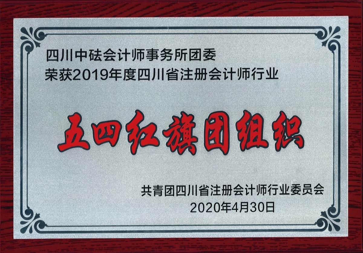 2019年度四川省注冊會(huì)計(jì)師行業(yè)“五四紅旗團(tuán)組織”